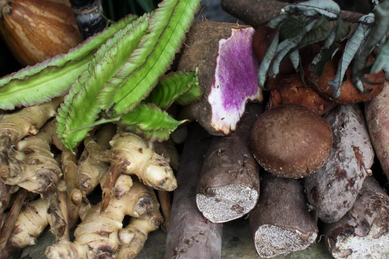 a close up of vegetables and some plants with white flowers