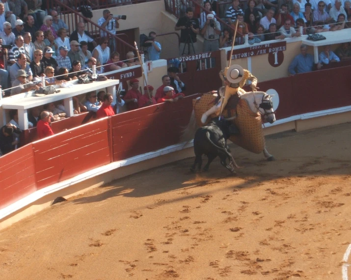 a bull rider attempts to buck down on his cow