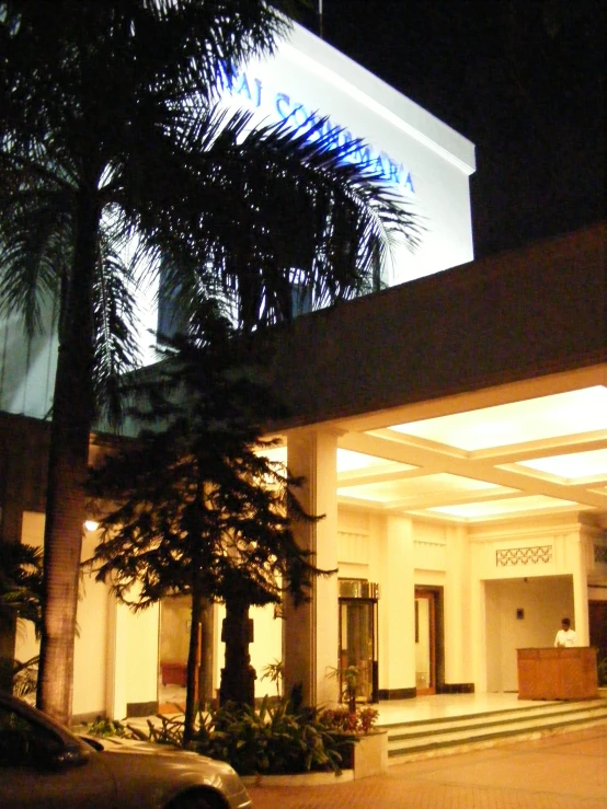 a car parked in front of a palm tree