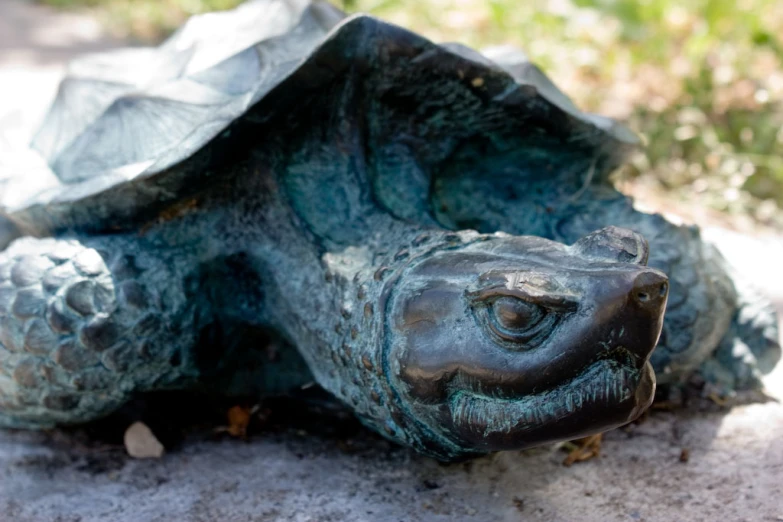 a close up of a turtle statue