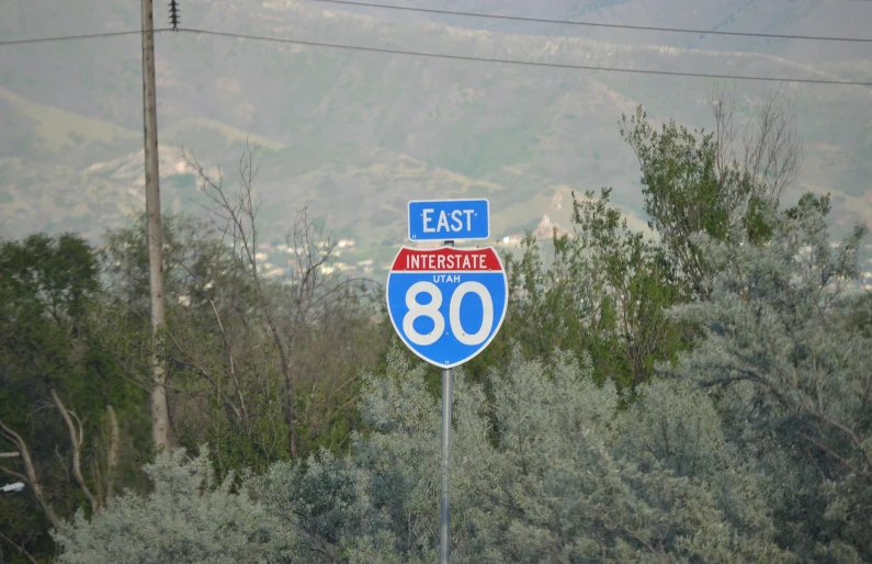 a blue sign sits in the middle of a forest