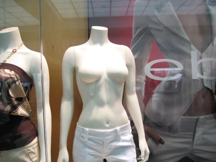 an image of a female mannequins displayed in a window