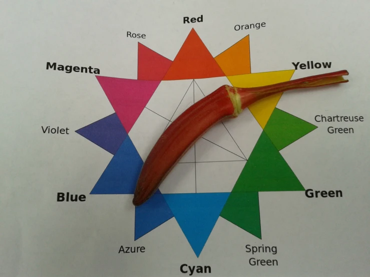 the color wheel for a colorful toothbrush on a white sheet