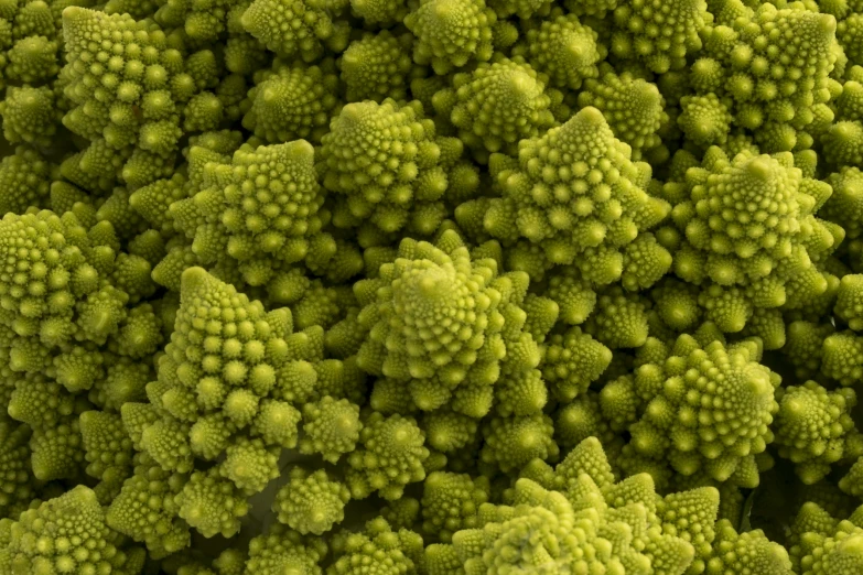 a close up s of green fruit, which looks like corals