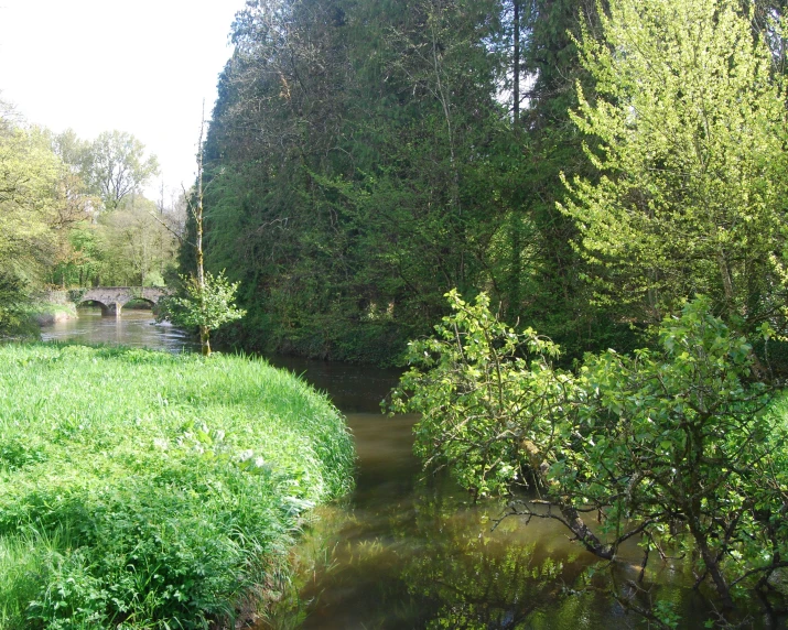 a creek running between two green grass covered banks