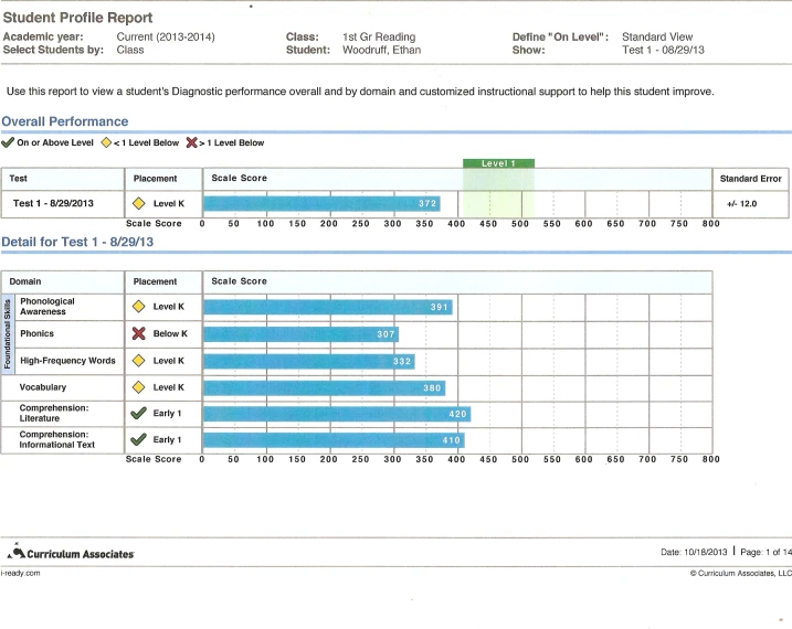 the performance score sheet for a company's application