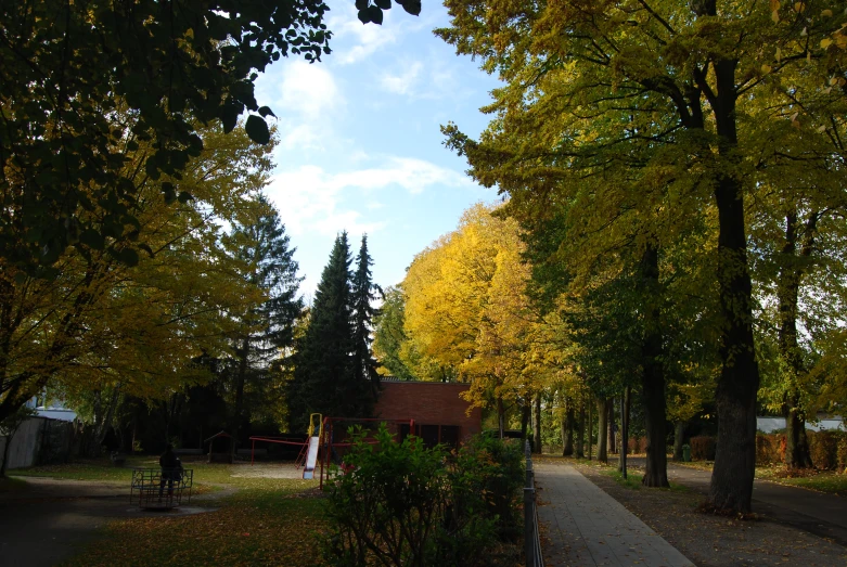 a street lined with trees, shrubs and two park benches