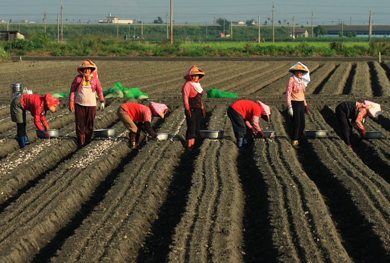 an open field with dirt being watered by people