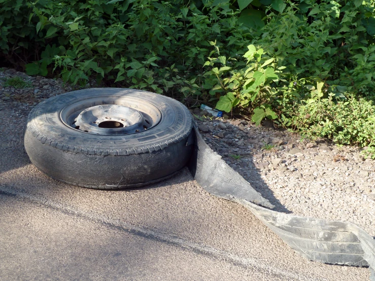 old tire laying in a patch of sand next to bushes