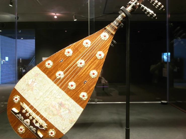 a very unique looking instrument on display in a museum