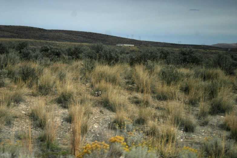 a large open field with very little vegetation