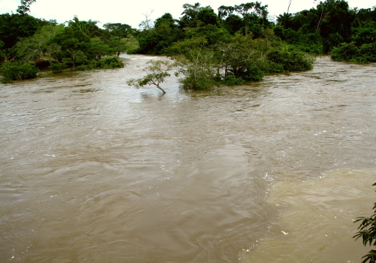 a road flooded in water with trees in the background