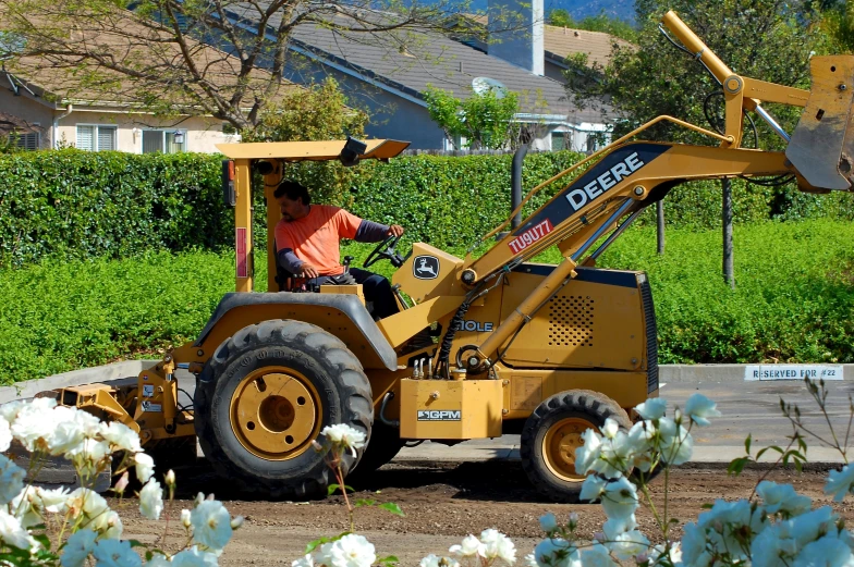 a man in an orange shirt driving a backhoe with flowers in the background