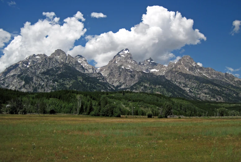 a herd of animals grazing in front of a mountain