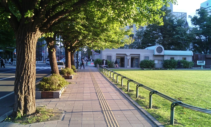 two benches facing each other on a sidewalk by some trees