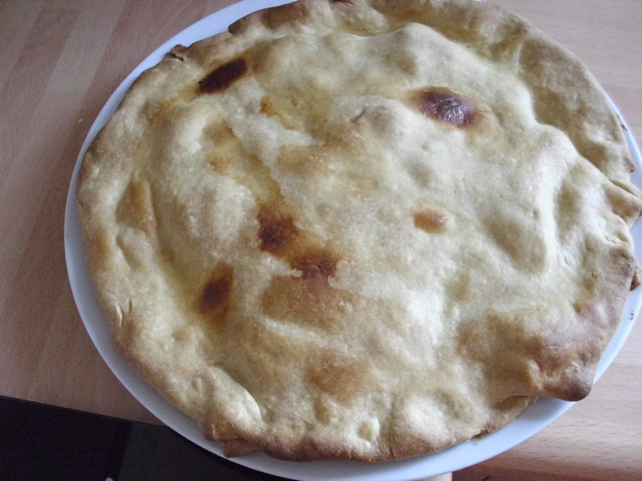 closeup view of an old tortilla on a plate