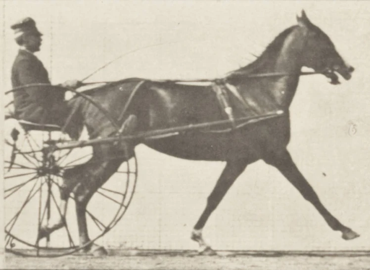 a black and white po of a man riding a horse drawn cart