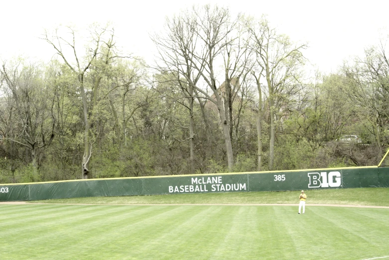 a person on a baseball field pitching a ball