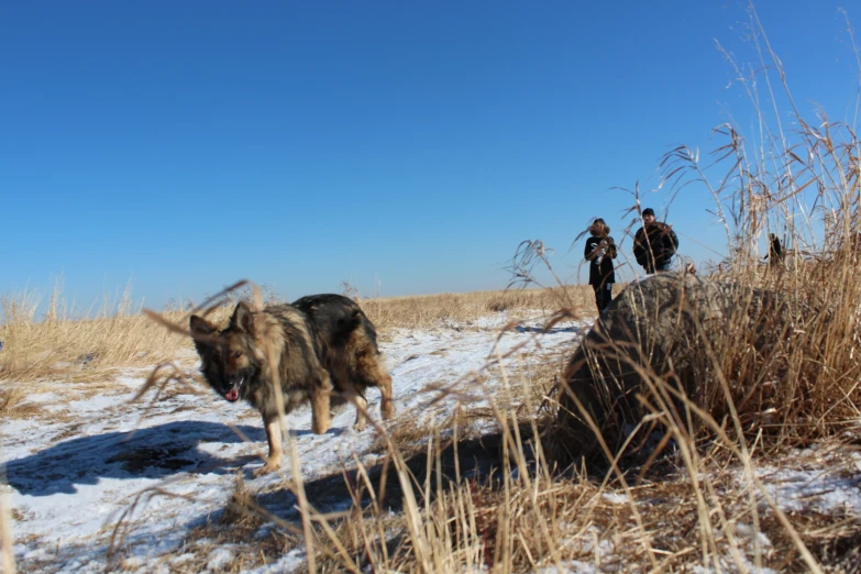 two men and one dog are standing outside in the snow