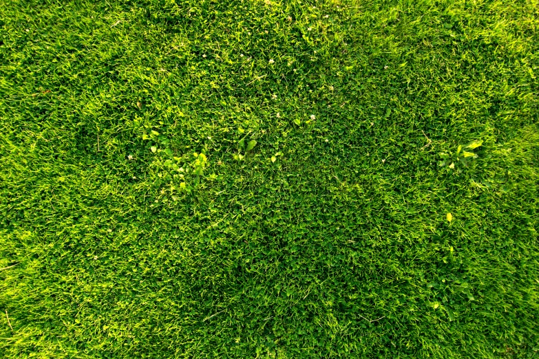 an aerial view of a grass field that looks like a field with a brown spot in it