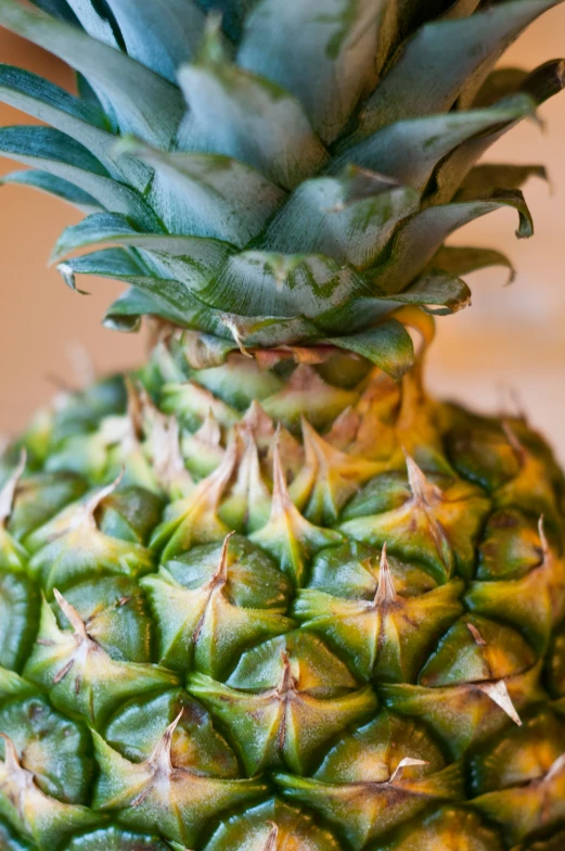 a close - up image of the top of a pineapple
