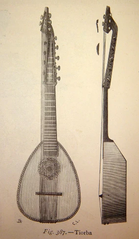 an illustration showing the back side of a mandolin