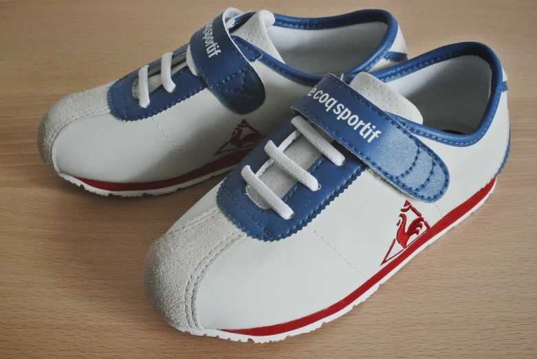 a pair of white and blue shoes with a red stripe