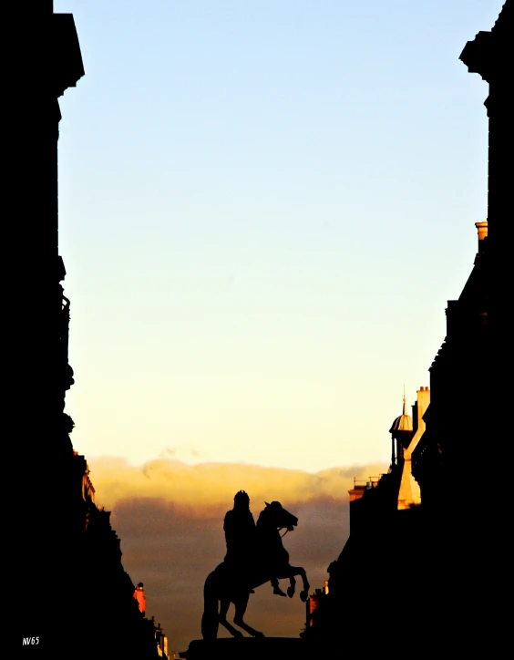 the silhouette of a rider riding a horse as the sun rises