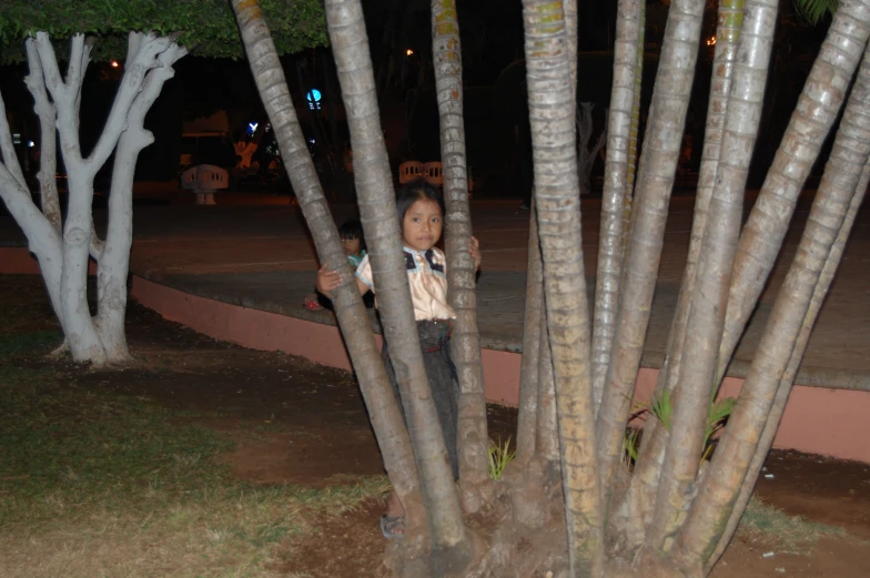 the child is peeking around from between some palm trees