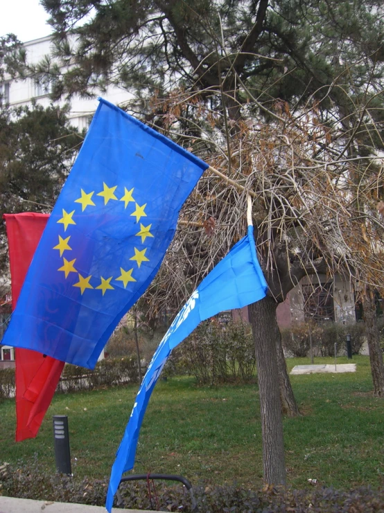 three flags next to each other, with trees in the background