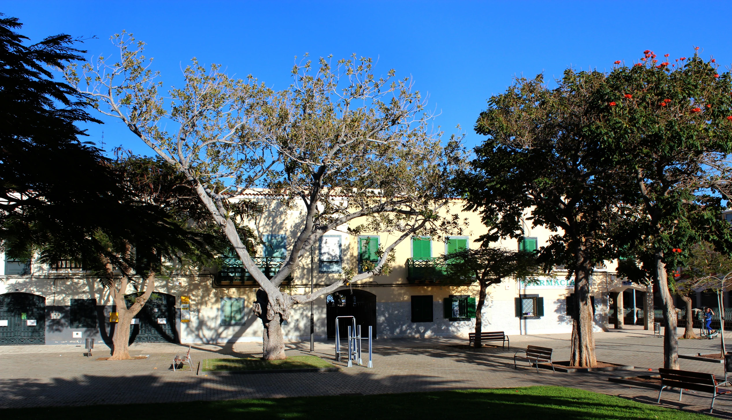 large building in middle of trees and street light