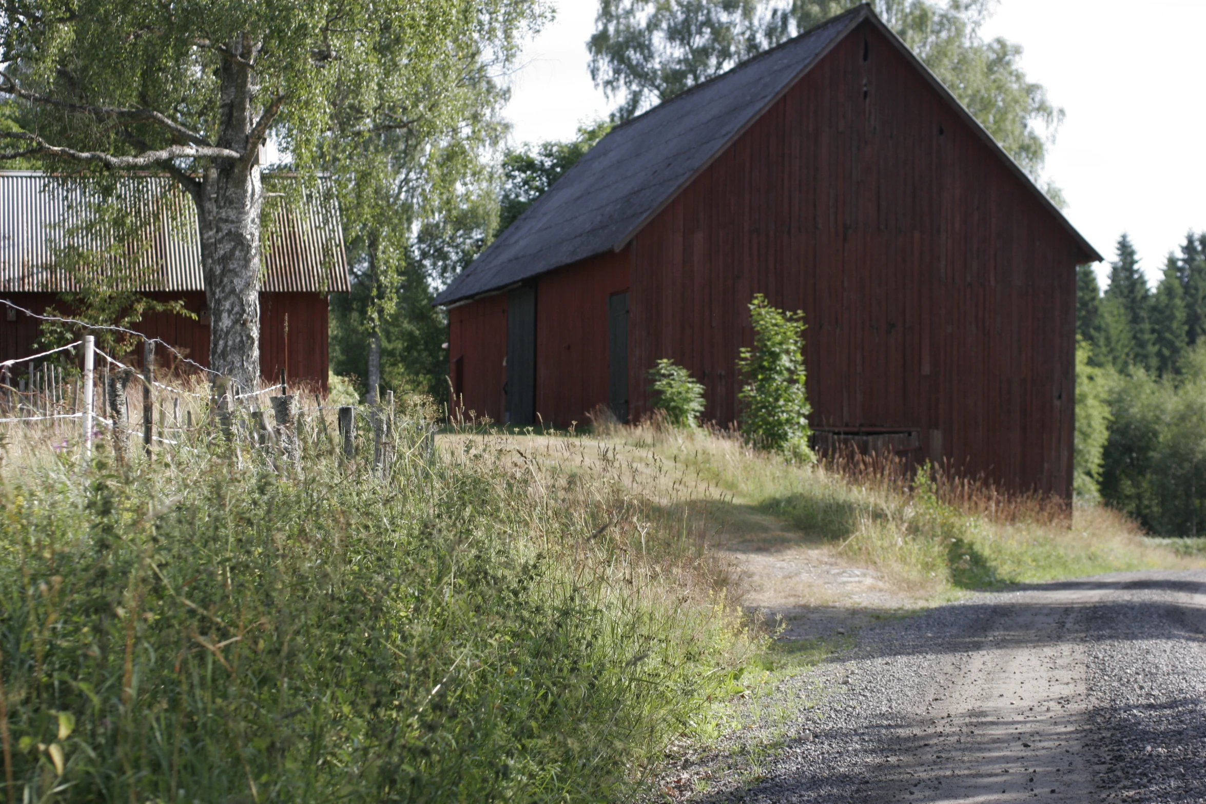 a red barn that is near some tall trees