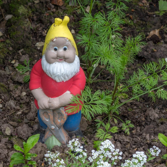 a gnome figurine in a garden with plants