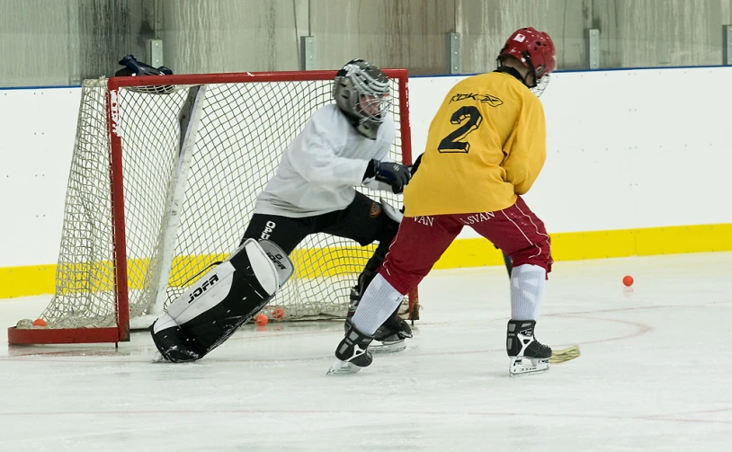 two young hockey players during a game