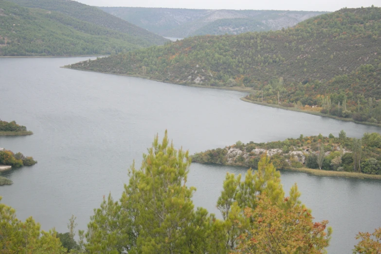 trees and water on both sides of a mountain