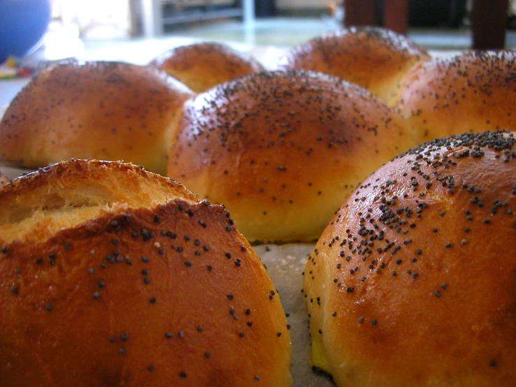 various rolls sprinkled with sesame seeds on a counter