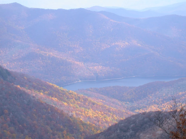 a valley filled with trees covered in fall foliage