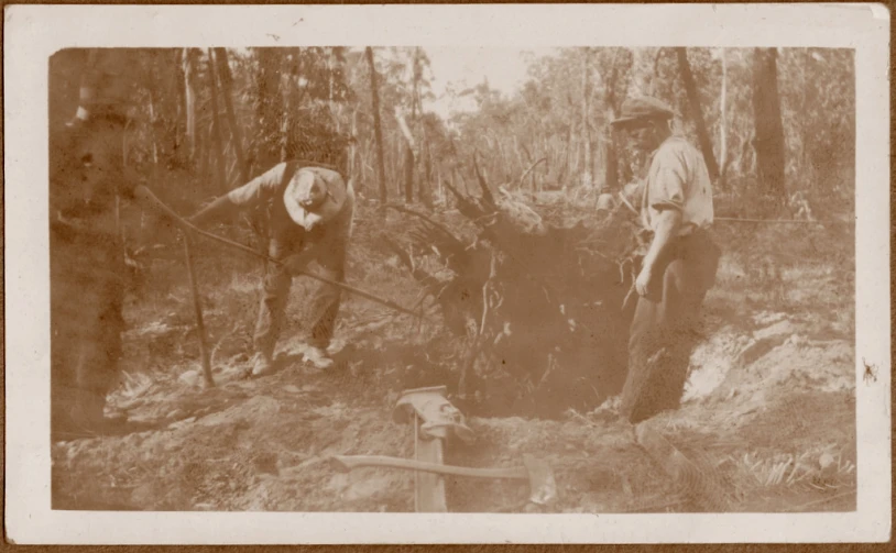 two men in the woods standing beside a fire hydrant