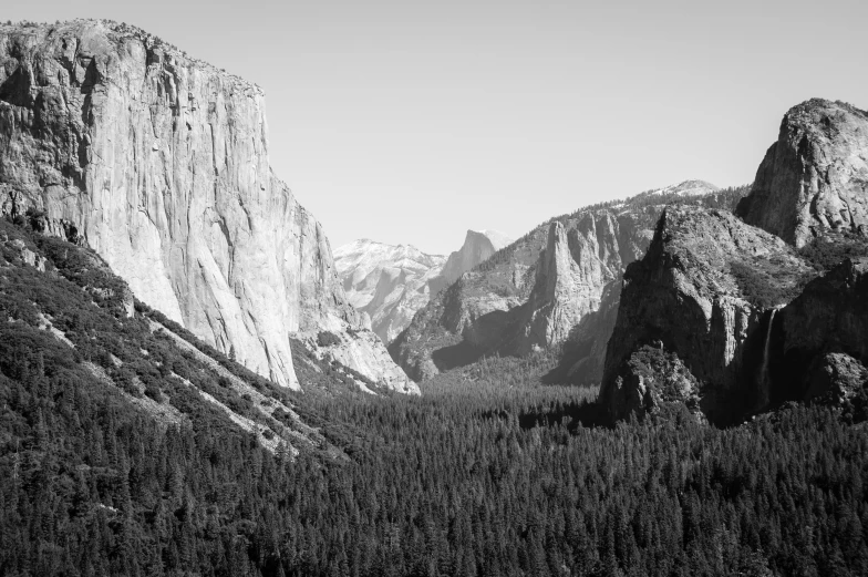 a black and white po of a forest, mountain, and river with rocks