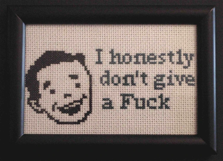 a cross stitch picture in black frame with the phrase honesty don't give a f k