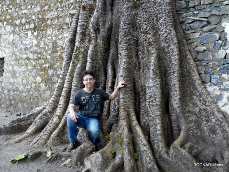 man in front of a large tree in front of a building