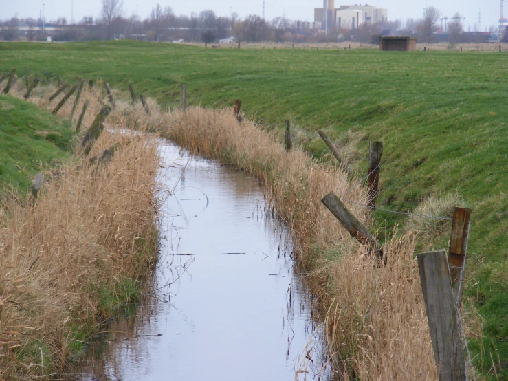 small waterway in large open grassy field with power lines