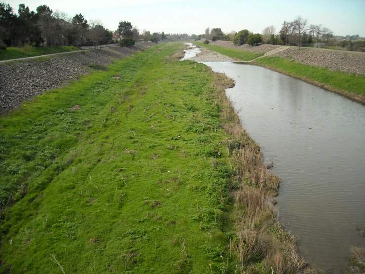 a long stretch of grass next to a river