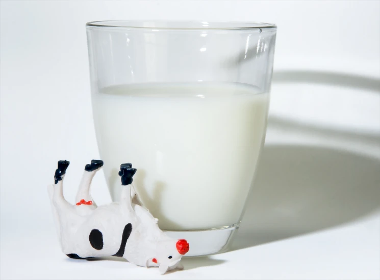 a glass and small white cow shaped like a milk dispenser