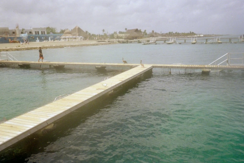 a dock that has some birds sitting on top