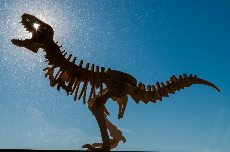 the dinosaur skeleton is in front of a blue sky