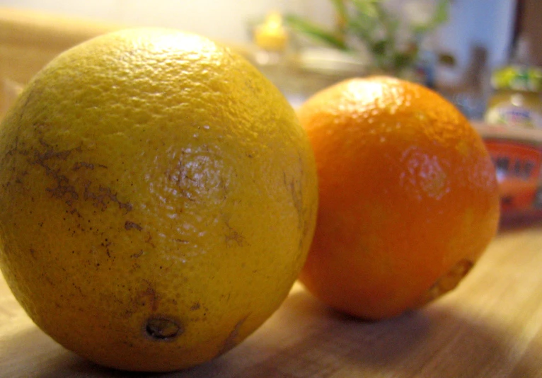 a couple of oranges sitting on top of a table