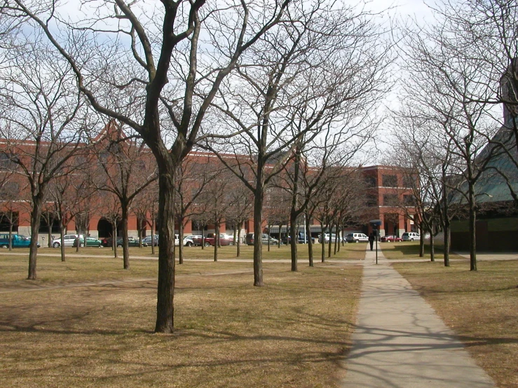 the sidewalk next to a grassy field with many bare trees