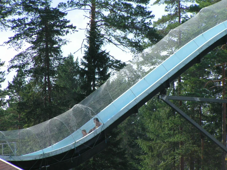 people ride the slide in the trees