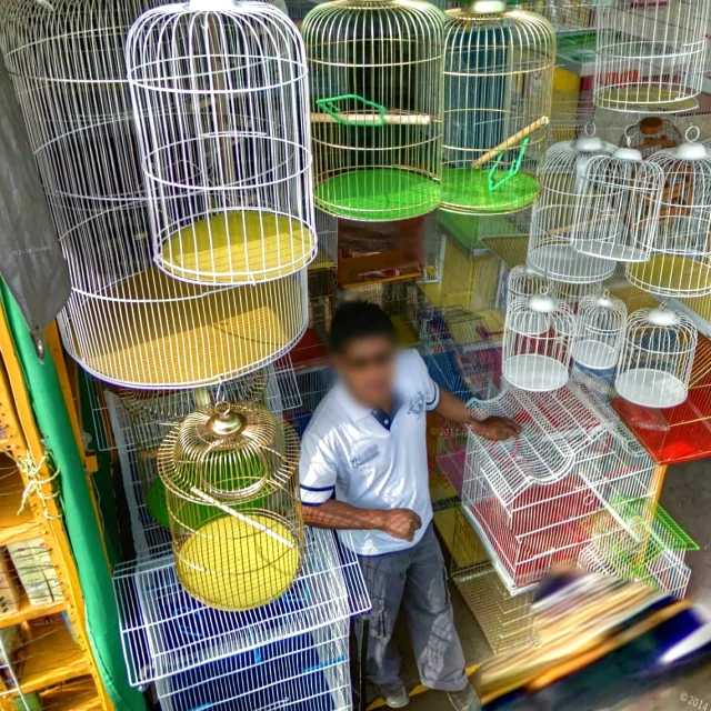 a  standing next to a large group of cages full of birds